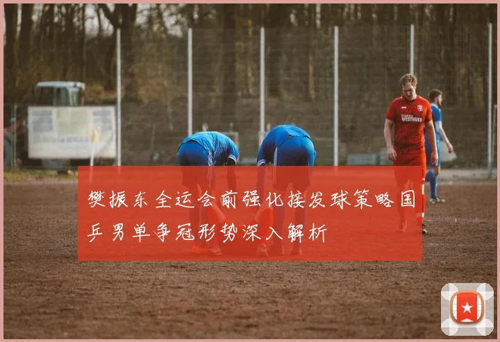 樊振东全运会前强化接发球策略国乒男单争冠形势深入解析
