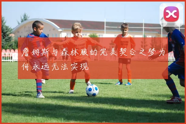 詹姆斯与森林狼的完美契合之梦为何永远无法实现